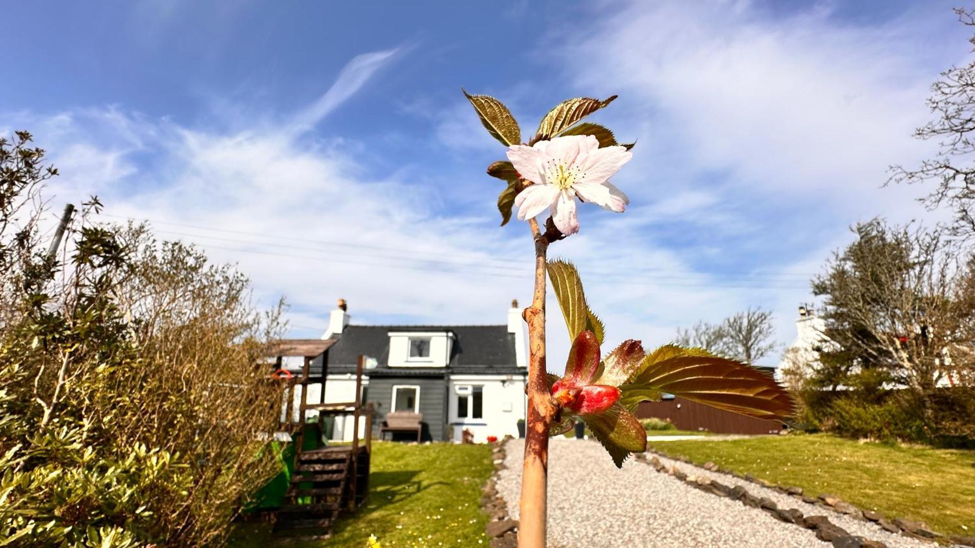 Carnmhor, Isle Of Skye - Stunning 242 Year Old Cottage On Its Own Sea Shore! Breakish المظهر الخارجي الصورة